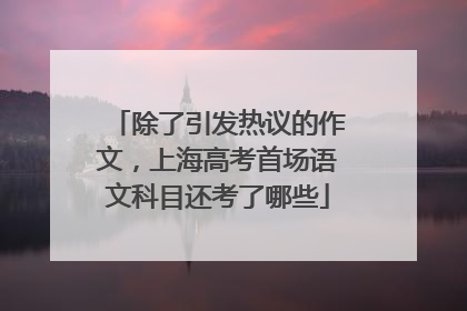 除了引发热议的作文，上海高考首场语文科目还考了哪些