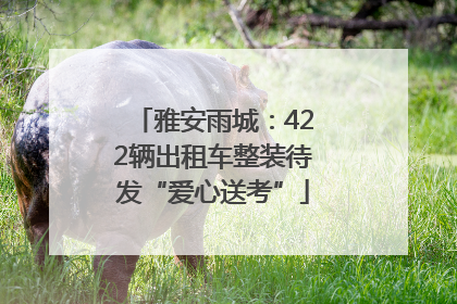 雅安雨城:422辆出租车整装待发“爱心送考”