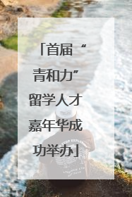 首届“青和力”留学人才嘉年华成功举办