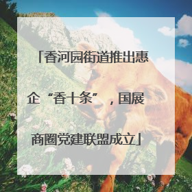 香河园街道推出惠企“香十条”，国展商圈党建联盟成立