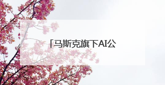 马斯克旗下AI公司，最新估值曝光