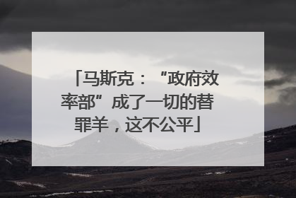 马斯克：“政府效率部”成了一切的替罪羊，这不公平