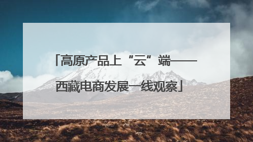 高原产品上“云”端——西藏电商发展一线观察