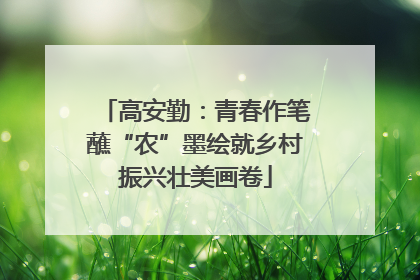高安勤：青春作笔蘸“农”墨绘就乡村振兴壮美画卷