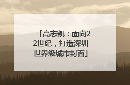 高志凯：面向22世纪，打造深圳世界级城市封面
