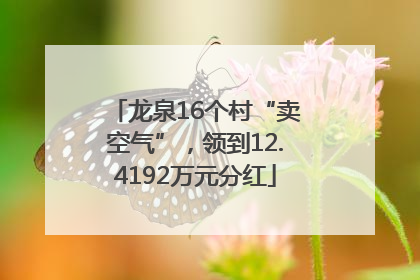 龙泉16个村“卖空气”，领到12.4192万元分红
