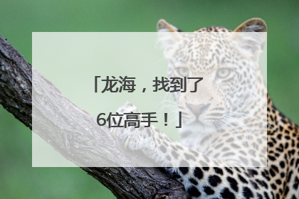 龙海，找到了6位高手！