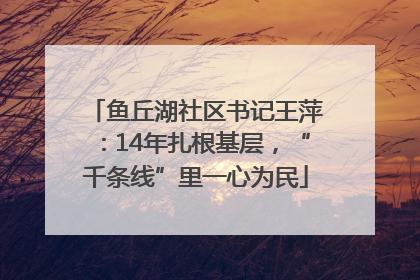 鱼丘湖社区书记王萍：14年扎根基层，“千条线”里一心为民