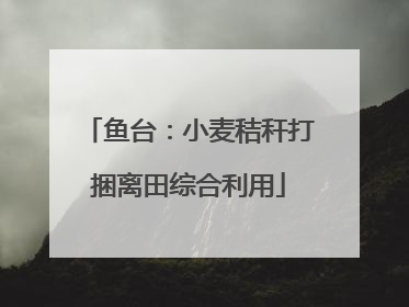 鱼台：小麦秸秆打捆离田综合利用