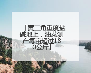 黄三角重度盐碱地上，油菜测产每亩超过180公斤