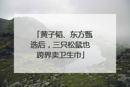黄子韬、东方甄选后，三只松鼠也跨界卖卫生巾