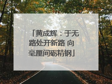 黄成辉：于无路处开新路 向毫厘间砺精钢