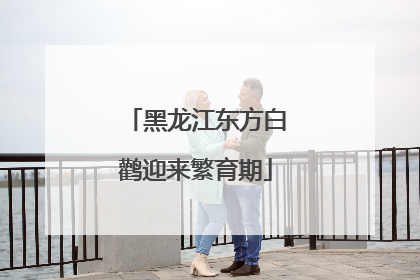 黑龙江东方白鹳迎来繁育期