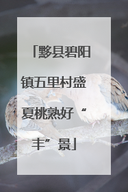 黟县碧阳镇五里村盛夏桃熟好“丰”景