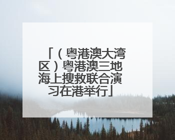 （粤港澳大湾区）粤港澳三地海上搜救联合演习在港举行