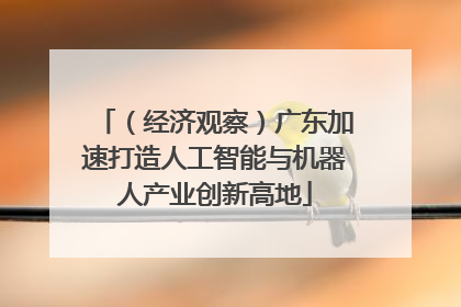 （经济观察）广东加速打造人工智能与机器人产业创新高地