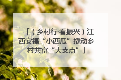 （乡村行·看振兴）江西安福“小西瓜”撬动乡村共富“大支点”