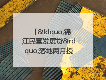“锦江民营发展贷”落地两月授信1.7亿元，惠及118家民企