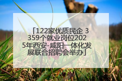 122家优质民企 3359个就业岗位2025年西安-咸阳一体化发展联合招聘会举办