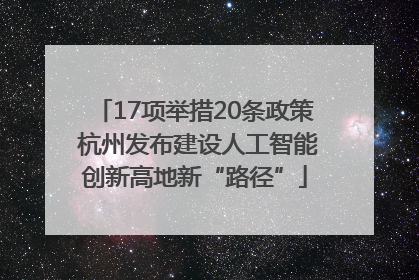 17项举措20条政策 杭州发布建设人工智能创新高地新“路径”