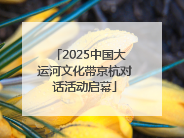 2025中国大运河文化带京杭对话活动启幕