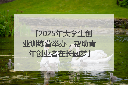 2025年大学生创业训练营举办，帮助青年创业者在长圆梦