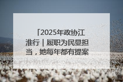 2025年政协江淮行｜履职为民显担当，她每年都有提案被评为“优秀”
