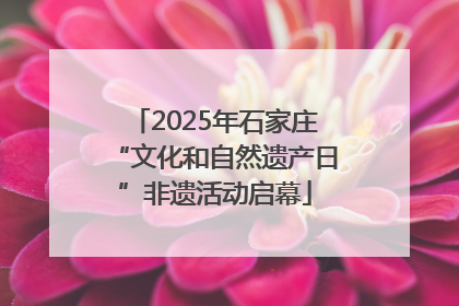 2025年石家庄“文化和自然遗产日”非遗活动启幕
