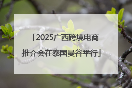 2025广西跨境电商推介会在泰国曼谷举行