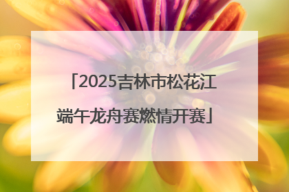 2025吉林市松花江端午龙舟赛燃情开赛