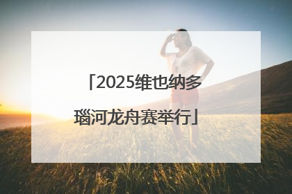 2025维也纳多瑙河龙舟赛举行