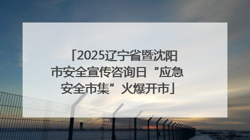 2025辽宁省暨沈阳市安全宣传咨询日“应急安全市集”火爆开市