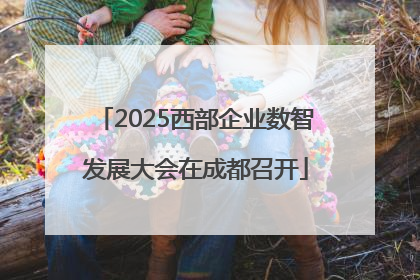 2025西部企业数智发展大会在成都召开