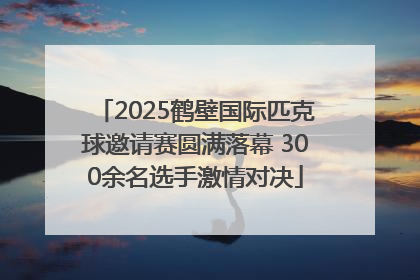 2025鹤壁国际匹克球邀请赛圆满落幕 300余名选手激情对决