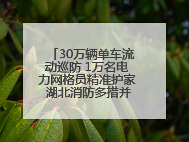 30万辆单车流动巡防 1万名电力网格员精准护家 湖北消防多措并举掀起“安全生产月”宣传热潮
