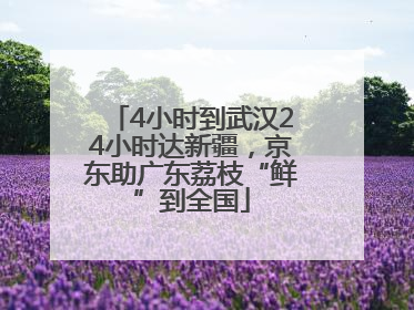 4小时到武汉24小时达新疆，京东助广东荔枝“鲜”到全国