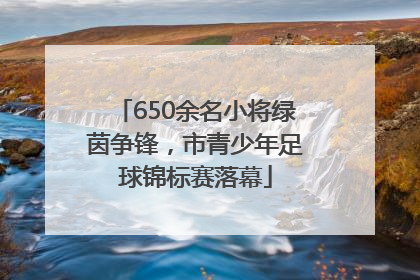 650余名小将绿茵争锋，市青少年足球锦标赛落幕