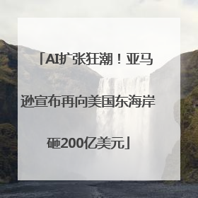 AI扩张狂潮！亚马逊宣布再向美国东海岸砸200亿美元
