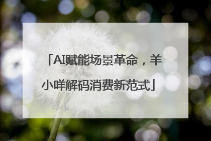 AI赋能场景革命，羊小咩解码消费新范式